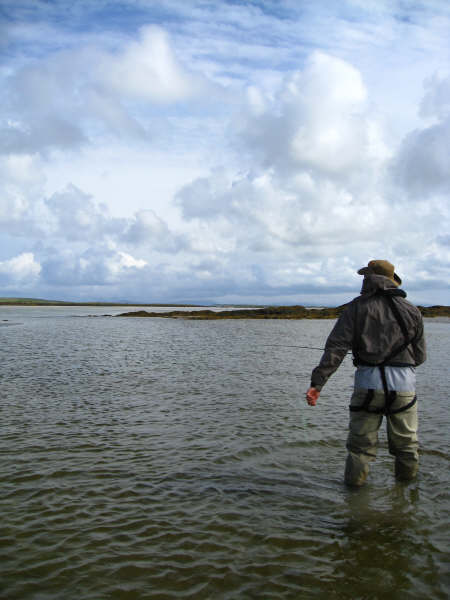 Stripping through a sand-eel shoal