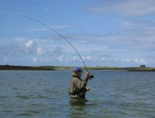 Throwing large flies