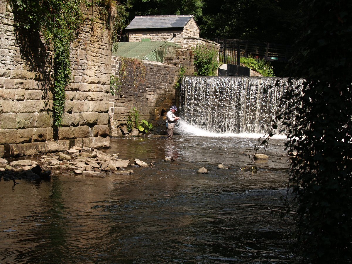 Pool under the weir