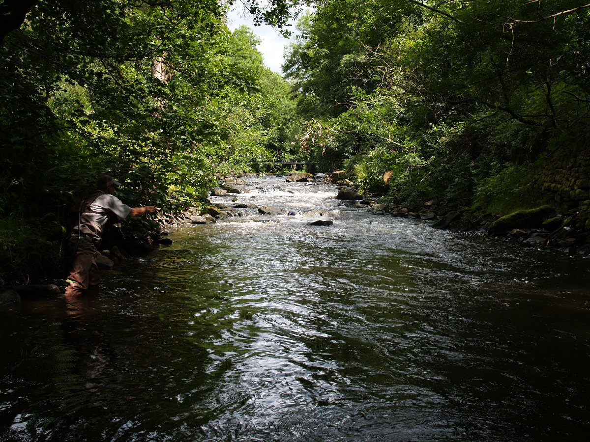 Nymphing in pocket water
