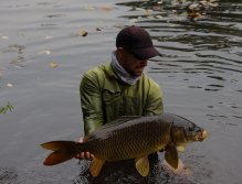 An Extended Look, Arms Straining