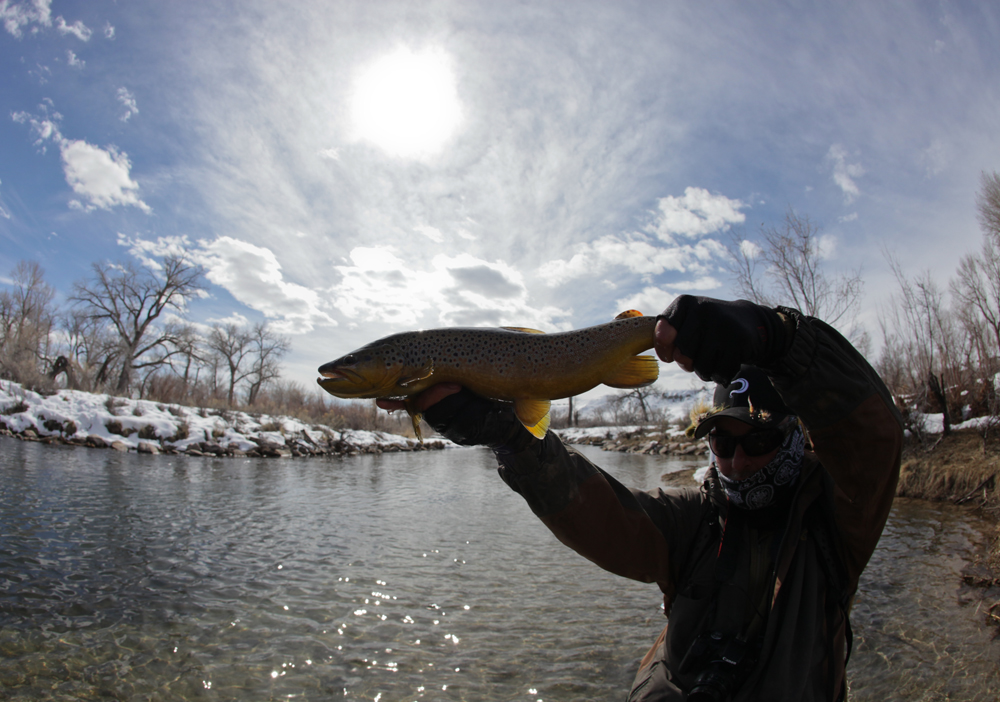 I always like to end on a good note and I was blessed with this amazing specimen for my last fish of the day