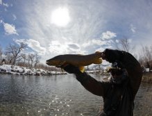 I always like to end on a good note and I was blessed with this amazing specimen for my last fish of the day