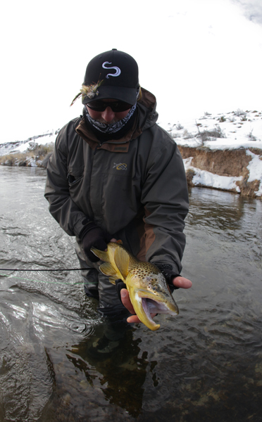 Subtle sipper falls victim to the midge 