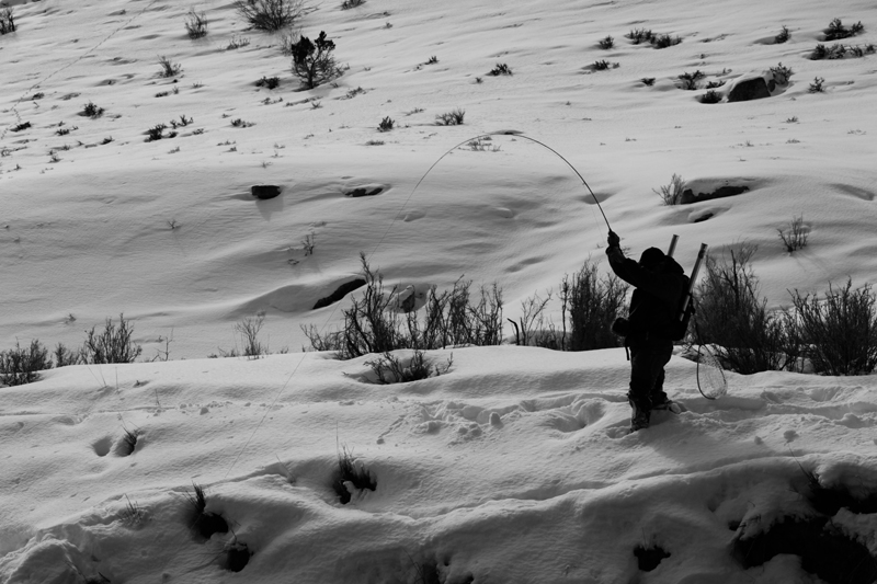 Another early AM bender for Matt Guymon