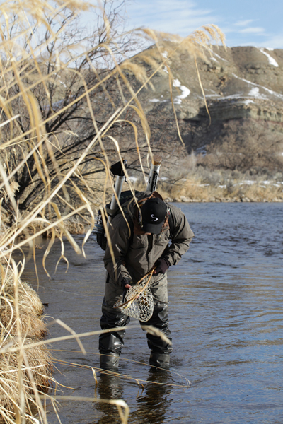 One of three from the far bank