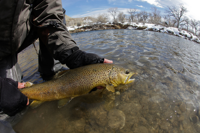 Letting  go can be hard to do