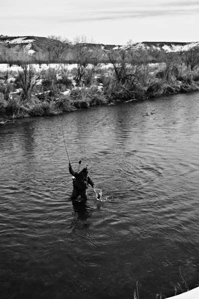 This old boy took about an hour of effort to get on the hook but he was worth it