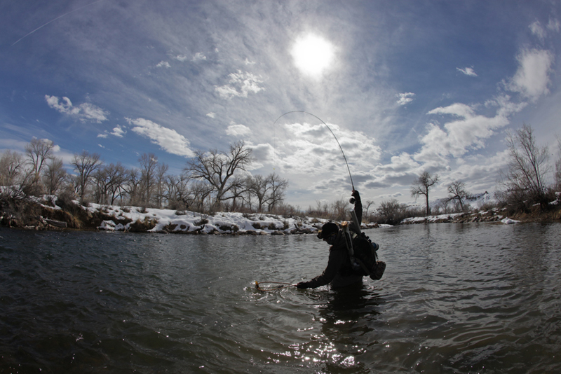 One of the most gratifying photos I have ever taken