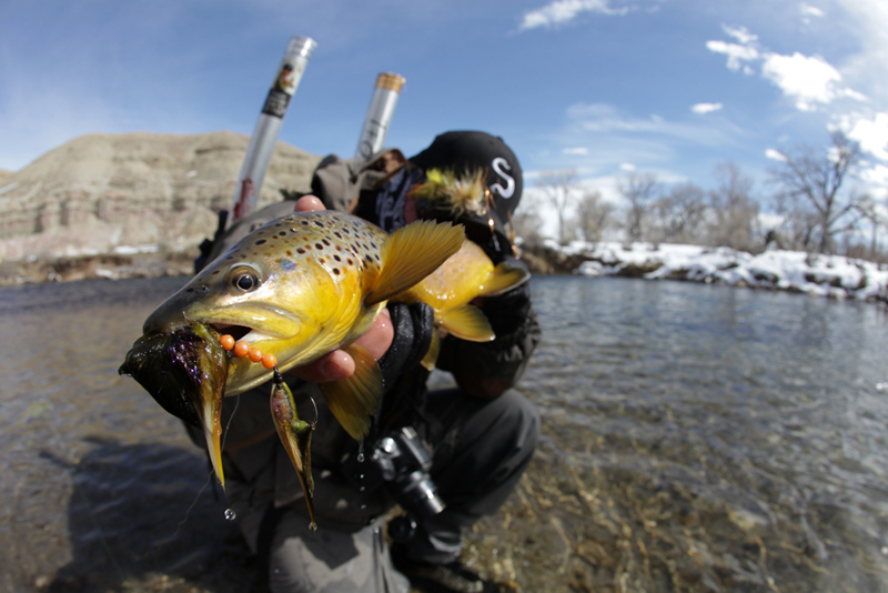 Streamers turned off but I stayed persistent and was able to fool one more late in the day