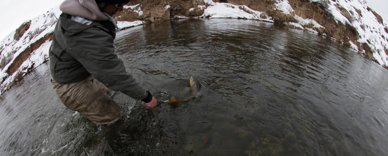 Mike Doughty reaches for his prize