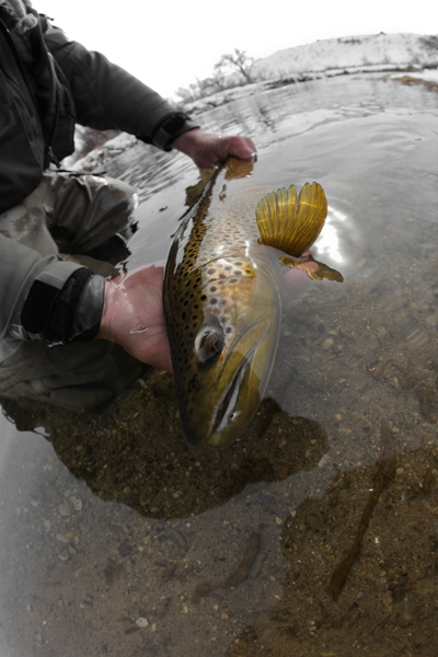 Admiration of beauty 