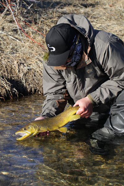 They come in all shapes and sizes and sometimes they look like bananas