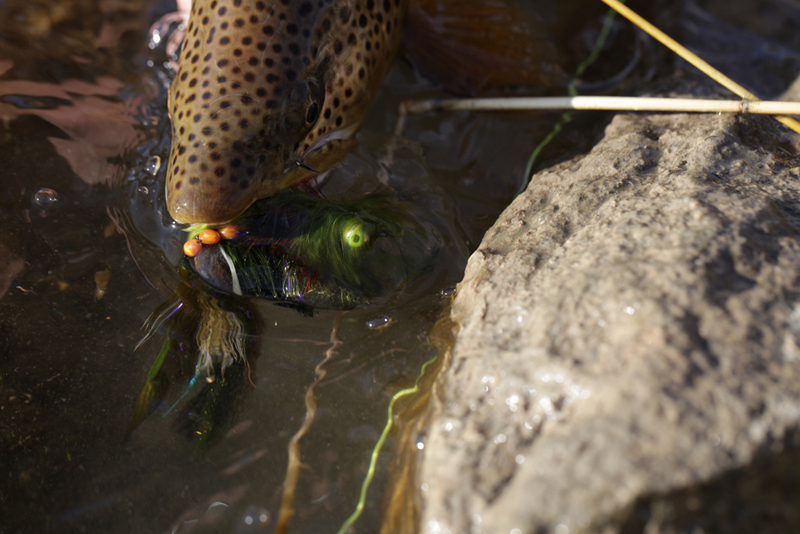 Articulated Hooker a Finpusher original