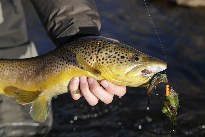 What a way to start the day. This toad crushed my Articulated Hooker the second it hit the water!