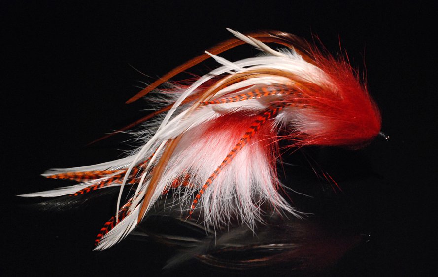 This is another replot stinger mack (II) tied with red and white raccoon fur, white Chinese  cock saddles & hot orange microbarb saddles