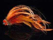 This is a combination of Orange and brown schlappen, tan & orange brown bucktail, orange ostrich herl, extra long peacock herls and a tightly packed spun deer hair head in tan and orange crimped together with a fishskull head for extra weight