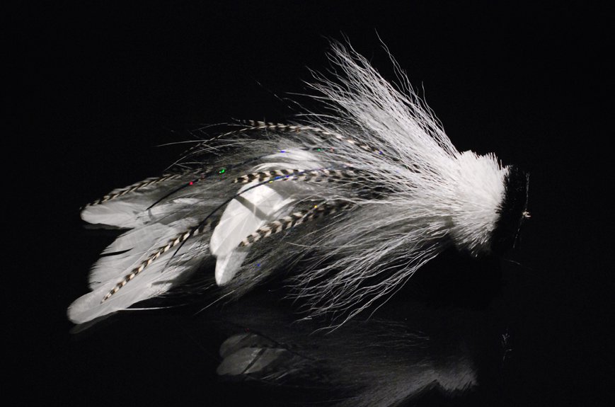 The same fly from the side