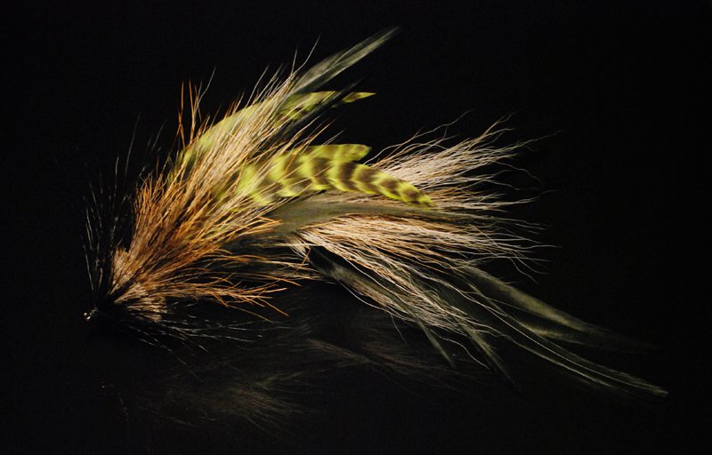 Another fly tied in tan, blacks and brown bucktail with black Chinese cock saddles 6 grizzly  chartreuse schlappen. The head is tightly packed deer hair 