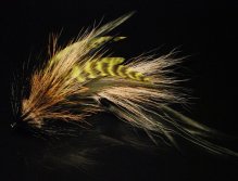 Another fly tied in tan, blacks and brown bucktail with black Chinese cock saddles 6 grizzly chartreuse schlappen. The head is tightly packed deer hair