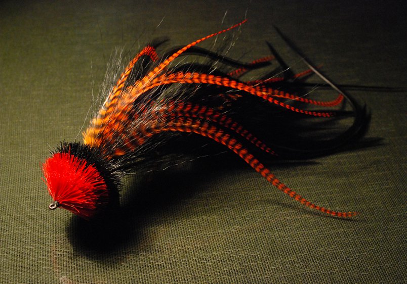 This one has been toed with only black bucktail, black and hot hot orange grizzly microbarb  saddles. The head is red and black deer hair