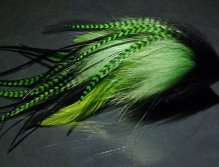 A black and Chartreuse Replot singer mack (II) tied with raccoon fur, chartreuse and black chinese cock hackles and black microbarb saddles