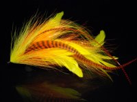 Muky typu Baltic Musky