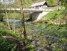 Pool under the bridge
