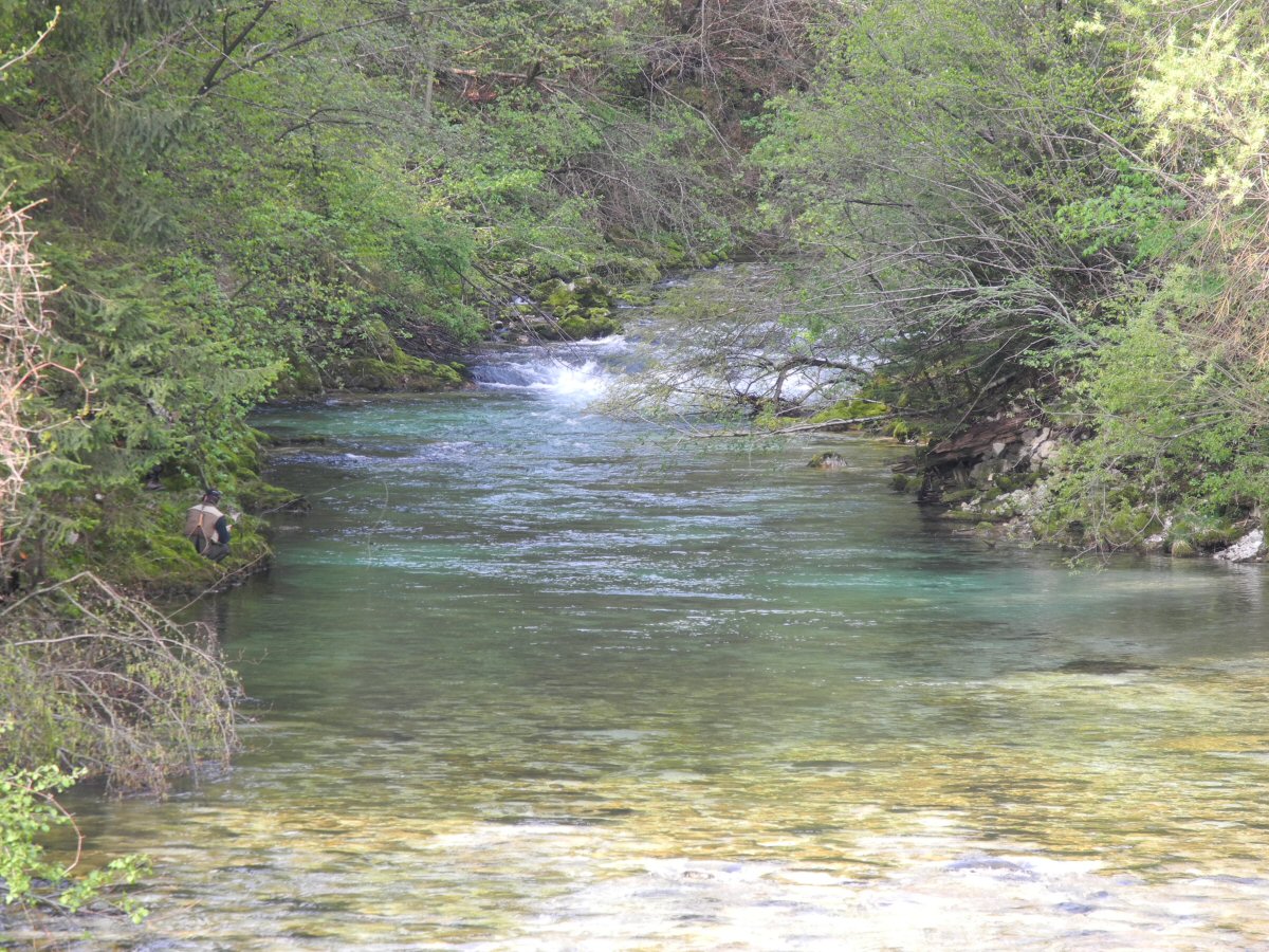 Deep pool - good chance for a big trout!