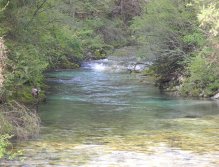 Deep pool - good chance for a big trout!