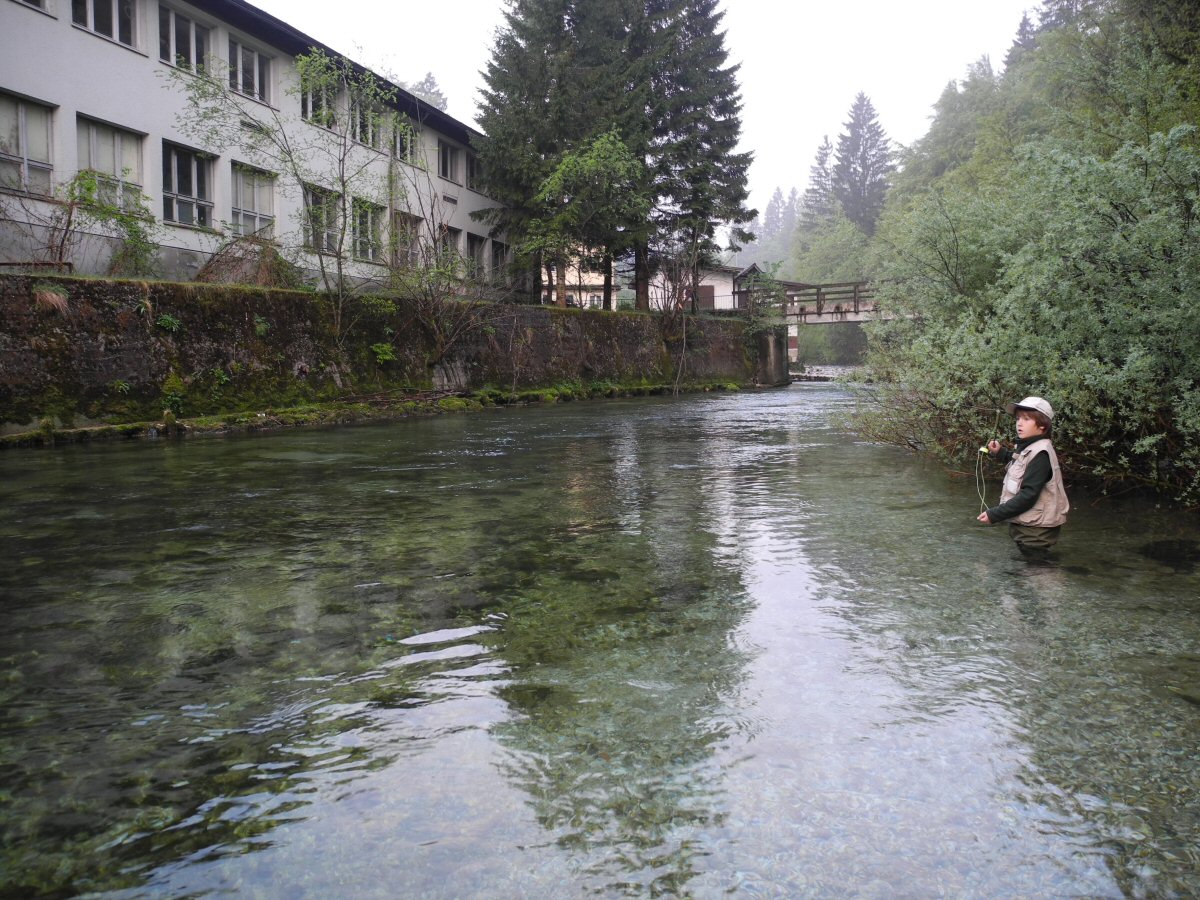 Early morning above the Vintgar gorge