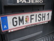 Car plate