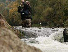 Roman Moser in action