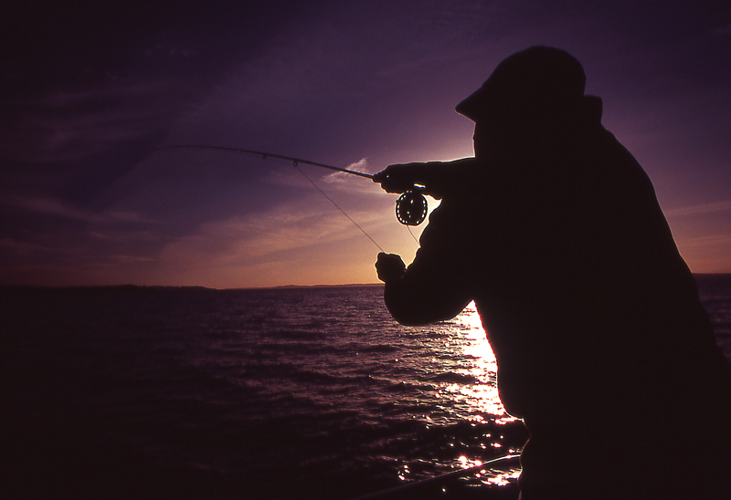 Dylan Rose casts to rising coho salmon at sunset from the Whaler