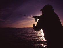 Dylan Rose casts to rising coho salmon at sunset from the Whaler