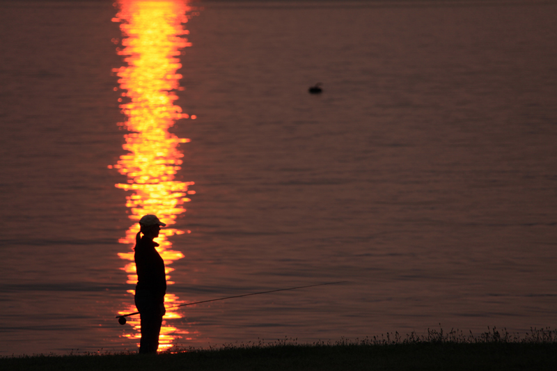 Natalie McCoy searching for rolling fish before leaving for another beach