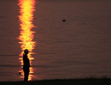 Natalie McCoy searching for rolling fish before leaving for another beach