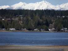 Jim Witwer fishing in the shadow of the Olympic Peninsula's majestic mountains on a winter day