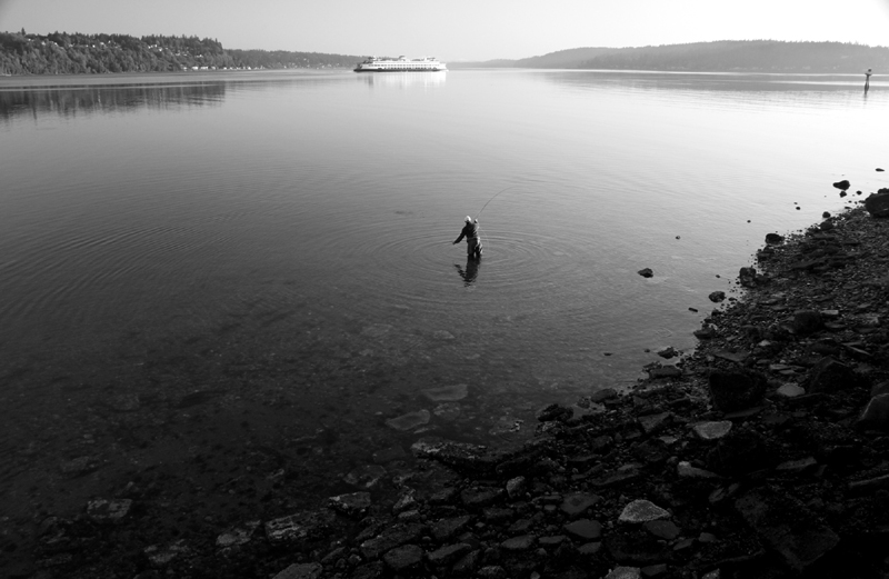 Black and White -- Patrick Kent working the beach near Bremerton as a passenger ferry slides past