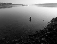 Black and White -- Patrick Kent working the beach near Bremerton as a passenger ferry slides past