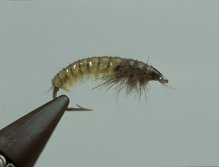 Step10 Pick out the mink hairs to define the legs, and the Caseless Caddis is complete