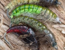 Casless Caddis Larva