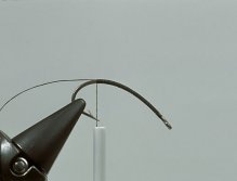 Step2 Tie in 0.20mm/0.08" diameter clear monofilament for use as rib and to create the body segmentation