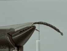 Step4 Tie in the strip of flexibody