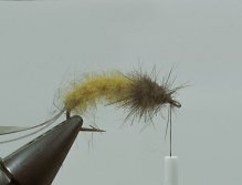 Step7 Use some dark mink or fitch guardhairs/underfur spun in a dubbing loop for the thorax. Make a well defined thorax