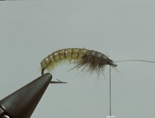 Step9 Wind the monofilament in at least 12 turns to the eye of the hook and tie off. You have now a good and effective segmentation, which is of vital important for this pattern