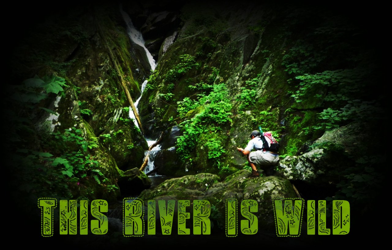 Brook Trout in Shenandoah National Park