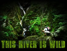 Brook Trout in Shenandoah National Park