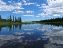 In search of rising snouts