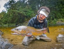 A nice brown from New Zealand with very beautiful color. The black tail of this fish make it unique